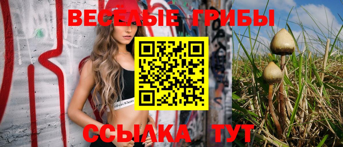 Псилоцибиновые грибы прущие грибы Троицк