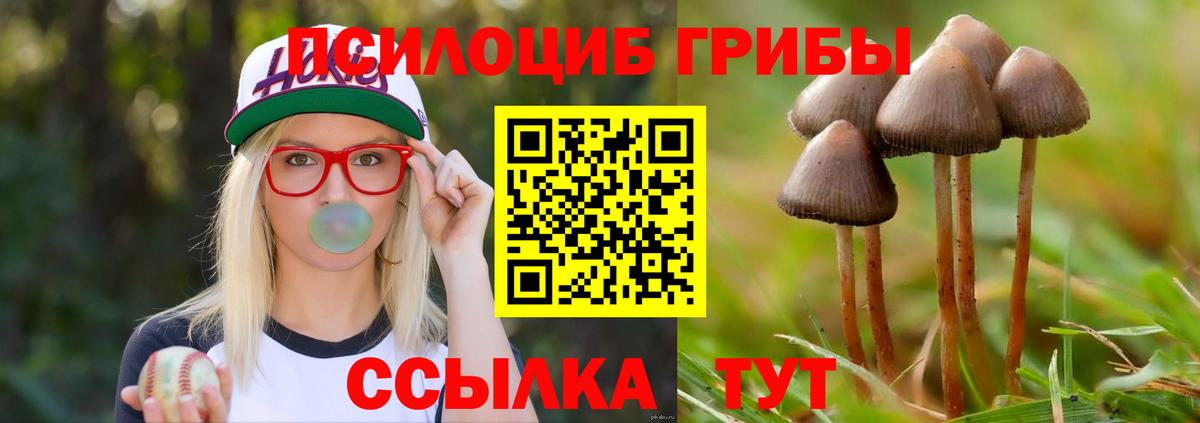 Троицк  Псилоцибиновые грибы ЛСД  Псилоцибиновые грибы Cubensis  Вход с VPN 